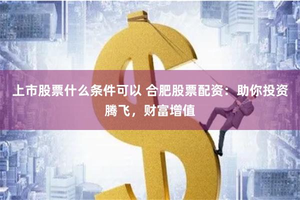 上市股票什么条件可以 合肥股票配资：助你投资腾飞，财富增值